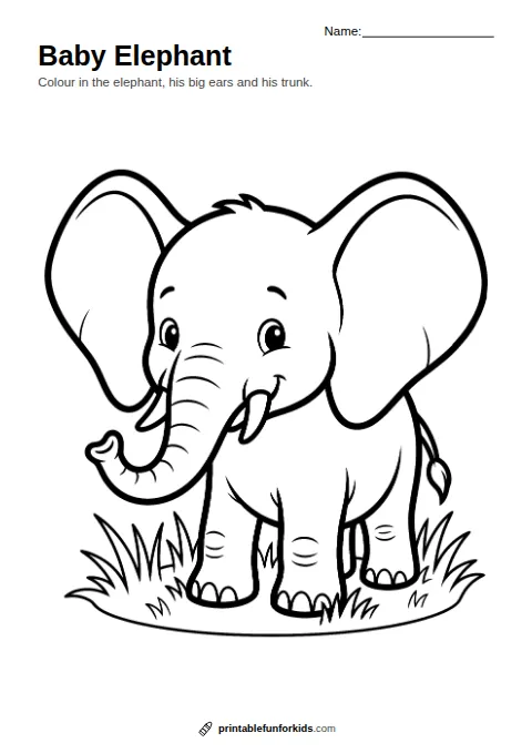 Line drawing of a baby elephant with big ears and a curled trunk, ready to colour in