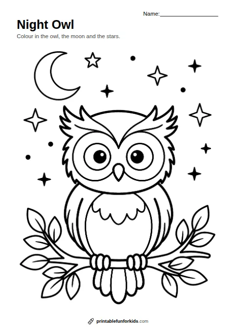 Line drawing of a big-eyed owl on a branch with the moon and stars, ready to colour in
