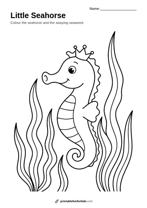 Line drawing of a seahorse with a curly tail among seaweed, ready to colour in